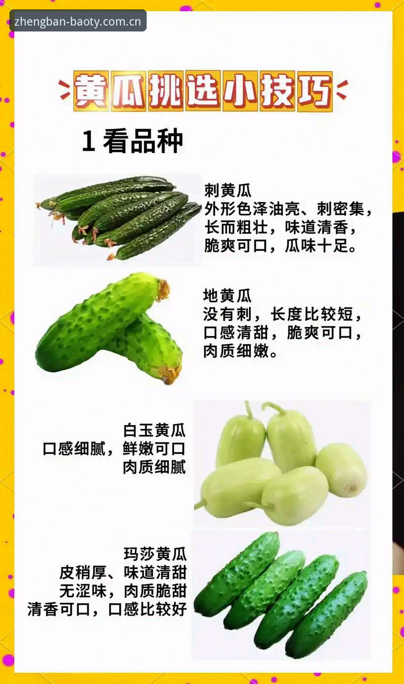 博奥体育安卓版使用技巧完整指南：从下载到精通的操作手册